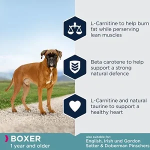 Eukanuba Adult Breed Care Boxer