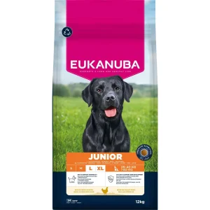 EUKANUBA Junior Large Breed Kylling 12 kg