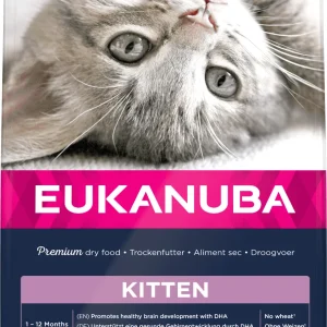Eukanuba Kitten kylling kattefoder