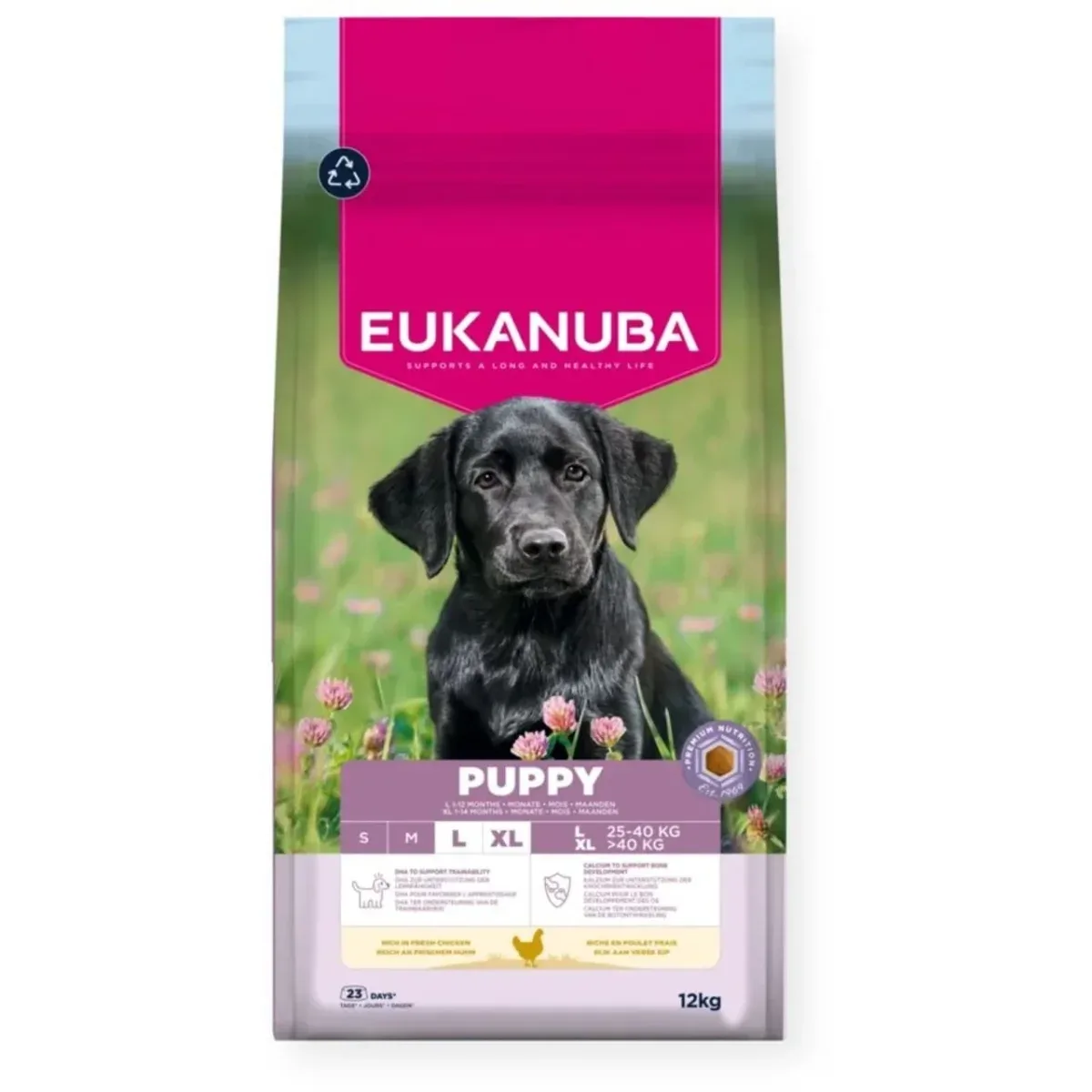 EUKANUBA Puppy Large Breed kylling 12kg