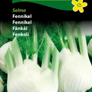 Fennikel, Selma (D) 1238