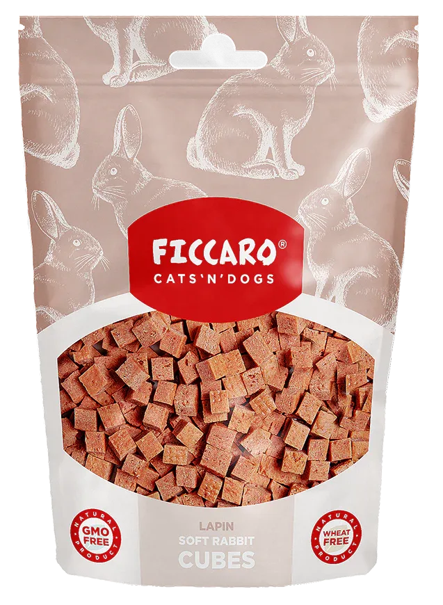 Ficcaro – Cubes m. Kanin