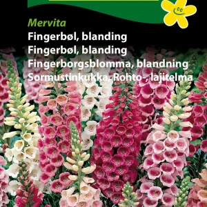 Fingerbøl, blanding, Mervita (D) 1680