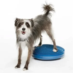 FitPaws K9 Balance Disc Træning Til Hund Ø46 cm Blue
