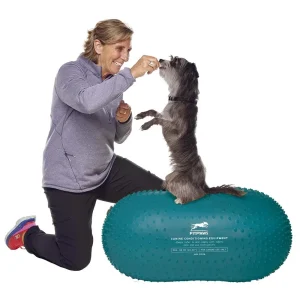 FitPaws Trax Peanut Balance & Styrketræning Til Hund BLÅGRØN 60cm
