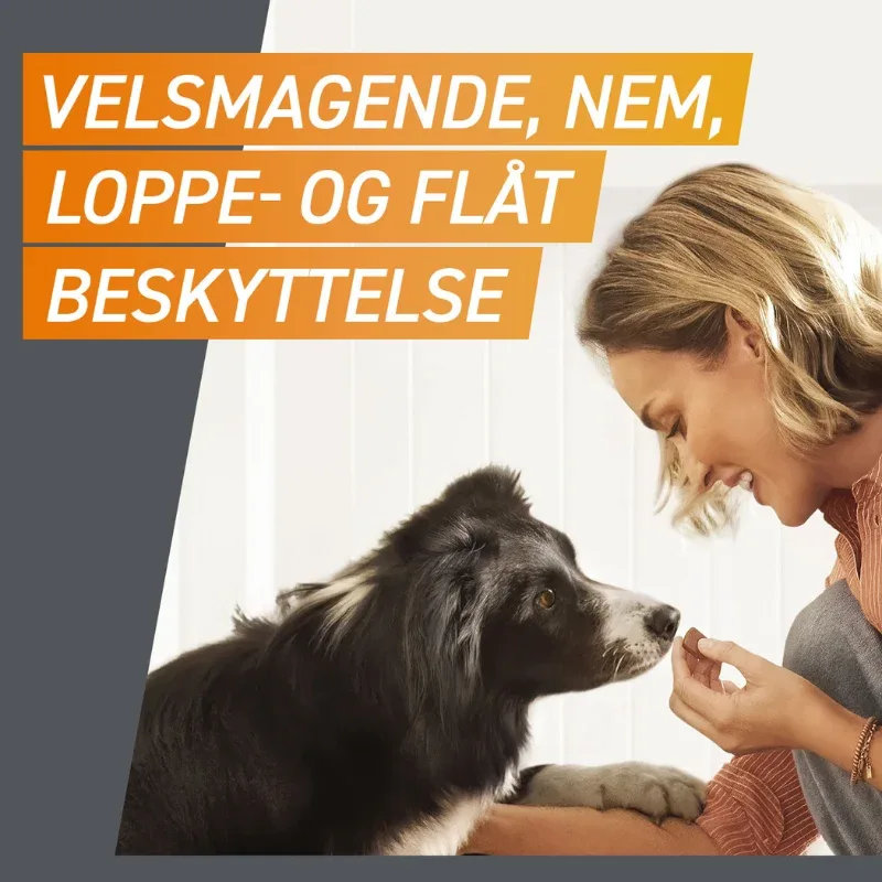 Flåt- & loppemiddel tyggetabletter hund 25-50 kg - 3 stk/pk - Image 2