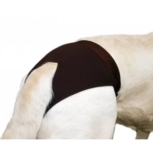 Flamingo Løbetidsbukser Model DogPants SASHA Click Buckle