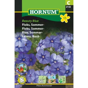 Floks, Sommer-, Beauty Blue ( C) 2132