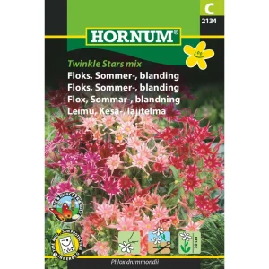 Floks, Sommer-, bl, Twinkle Stars mix ( C) 2134