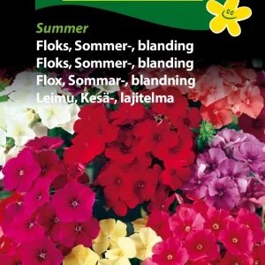 Floks, Sommer-, blanding ( C) 1814