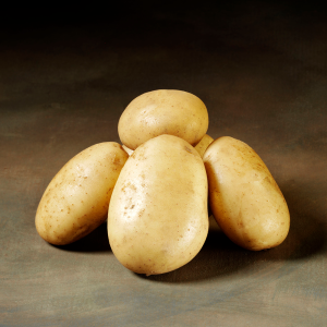 Folva læggekartofler – 1,5 kg.