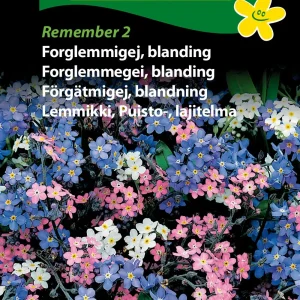 Forglemmigej, blanding, Remember 2 ( C) 1829