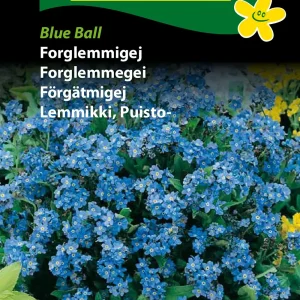 Forglemmigej, Blue Ball (B) 1681