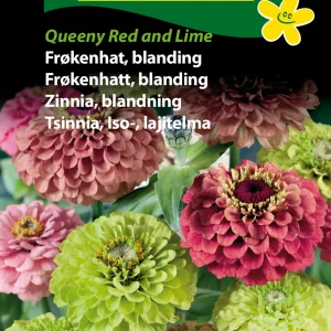 Frøkenhat, blan. Queeny Red and Lime (D) 1830