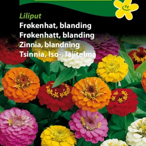 Frøkenhat, blanding, Liliput (B) 1683