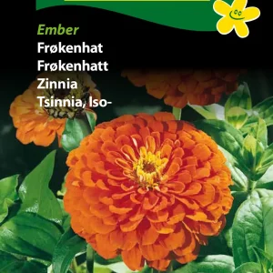 Frøkenhat, Ember (D) 1811