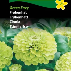 Frøkenhat, Green Envy (D) 1772