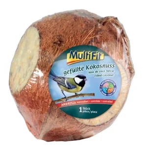 Fyldt kokosnød1 stk