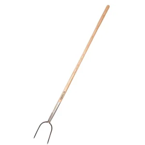 Galax Ballefork, 2 gr.