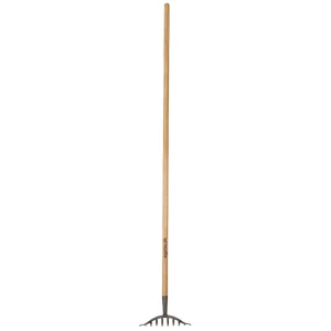 Galax Rosenrive 10 Tands bredde 25 cm