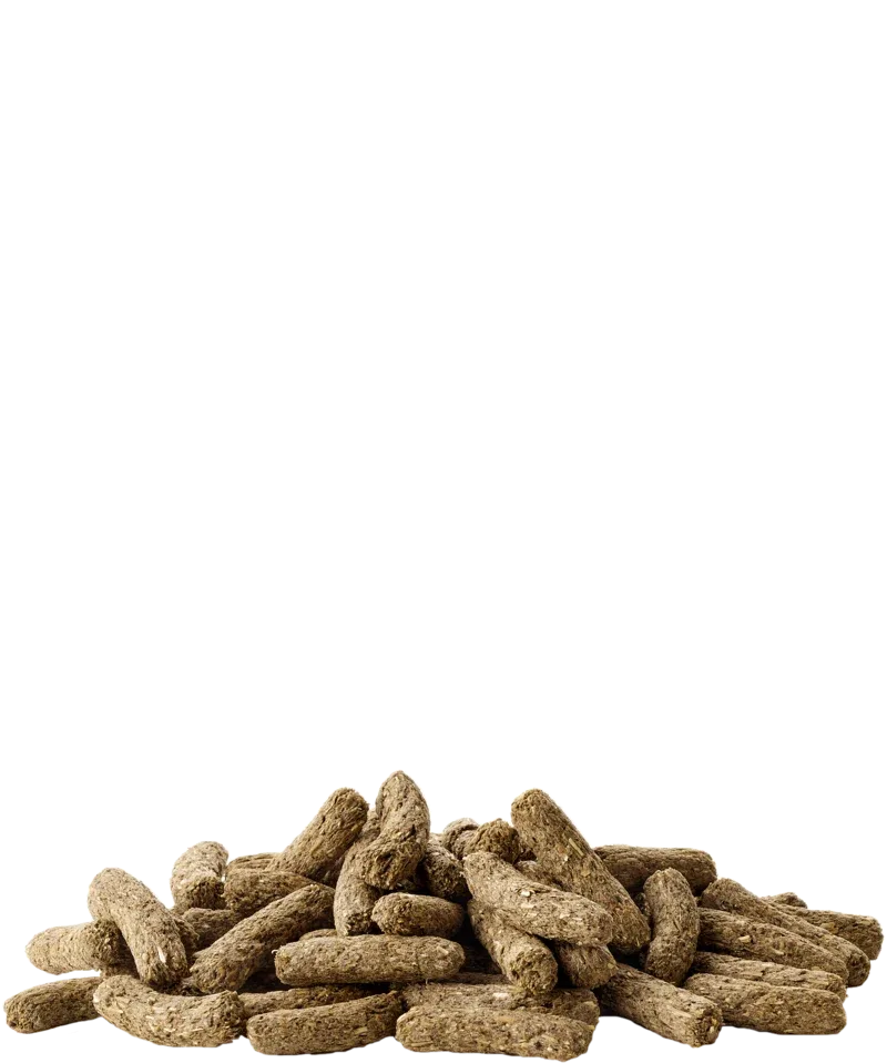 Gnaverfoder til kaniner 8kg - Complete Cuni fra Versele-laga - Image 2