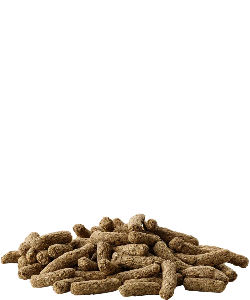Gnaverfoder til marsvin 8kg - Complete Cavia fra Versele-laga - Image 2