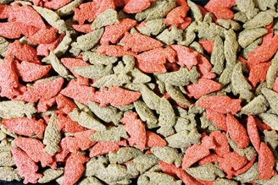 Gnaversnacks fra JR farm karotter- til kanin og gnavere - Image 2