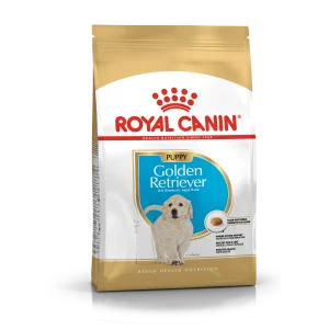 Golden Retriever Puppy 12 kg