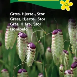 Græs, hjerte-, stor (C ) 1893