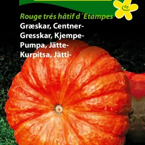Græskar, Centner-, Rouge trés hâtif (B) 1240