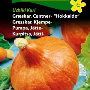 Græskar, Centner-, Uchiki Kuri (F) 1241