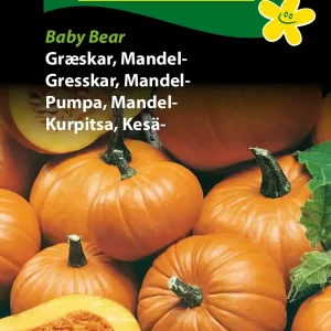 Græskar, Mandel-, Baby Bear (D) 1243