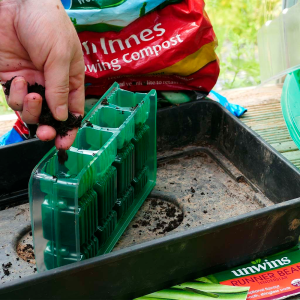 Gro-Sure Såbakke, 4 celler – 12 pak.