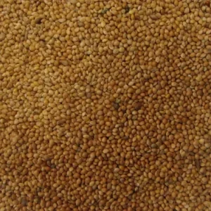 Gul Hirse – 20 kg.