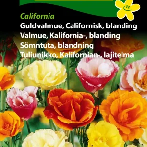 Guldvalmue, Californisk, bl., Calif. ( C) 1816