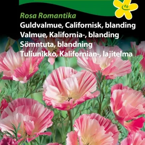 Guldvalmue, Californisk, bl., Rosa Roman. (D) 1831