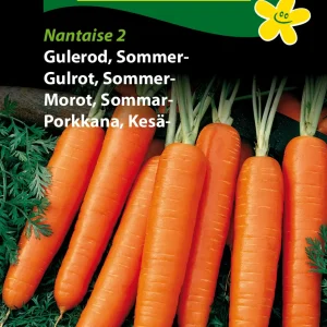 Gulerod, Sommer-, Nantaise 2 ( E) 1254