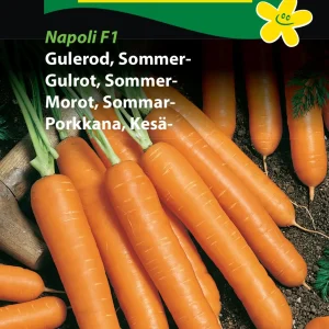 Gulerod, Sommer-, Napoli F1, Såbånd ( E) 1252