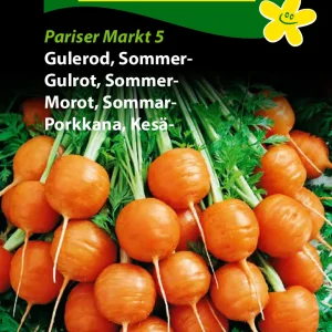 Gulerod, Sommer-, Pariser Markt 5 (D) 1259