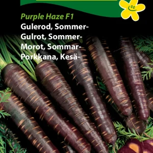 Gulerod, Sommer-, Purple Haze F1 (D) 1396
