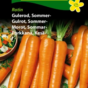 Gulerod, Sommer-, Rotin (B) 1255