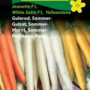 Gulerod, Sommer-, såbånd (D) 1388