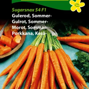 Gulerod, Sommer-, Sugarsnax 54 F1 (D) 1257