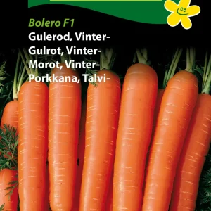 Gulerod, Vinter-, Bolero F1 (F) 1366