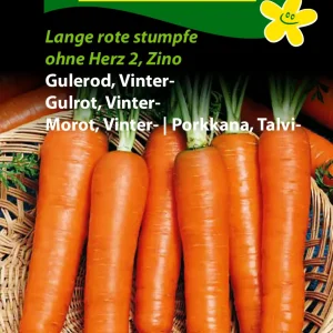 Gulerod, Vinter-, Lange rote stumpfe ( C) 1258