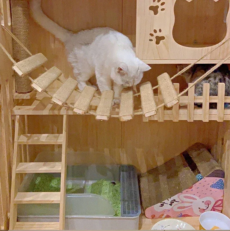 Hængebro/stige til katte, gør-det-selv – model Cataventure