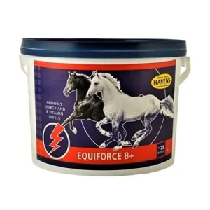 Havens – EquiForce B+