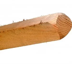 Hegnspæle / Vinstokke 150 CM 18-24 CM2