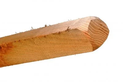 Hegnspæle / Vinstokke 175 CM 18-24 CM2