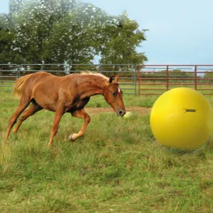 Heste Bold 100 cm - Maximus Power Play Ball
